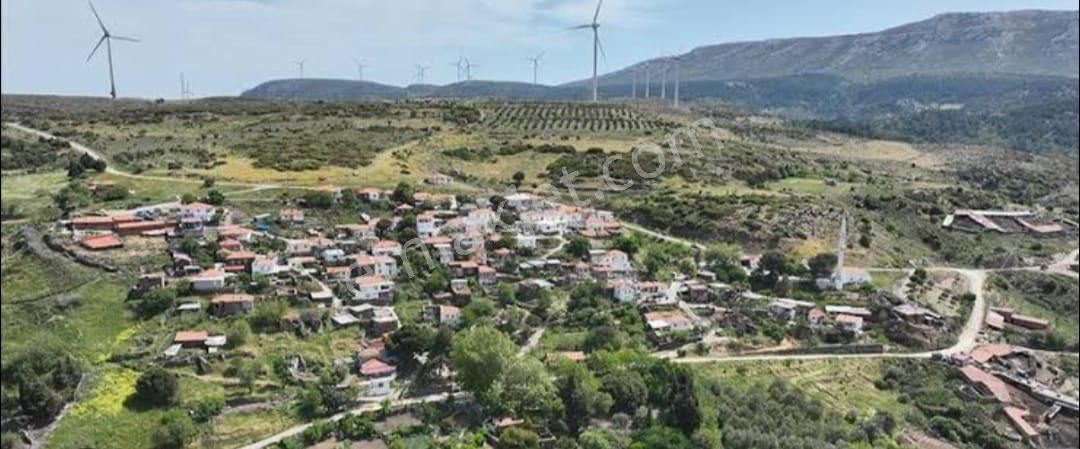 İzmir Karaburun Yaylaköyde Satılık Elektrik Ve Su Olan Fırsat Arazi - Görsel 4