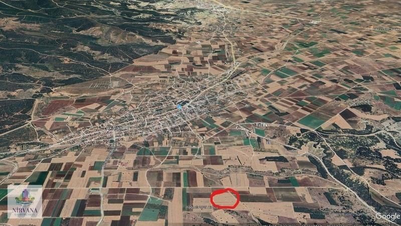 Acıpayam Akalanda Sulu Verimli Tarla - Görsel 2