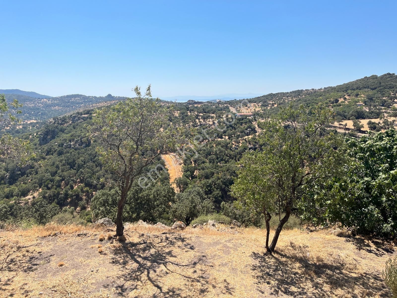 Çanakkale Ayvacık İlyasfakı'nda Satılık Müstakil Ev - Görsel 21