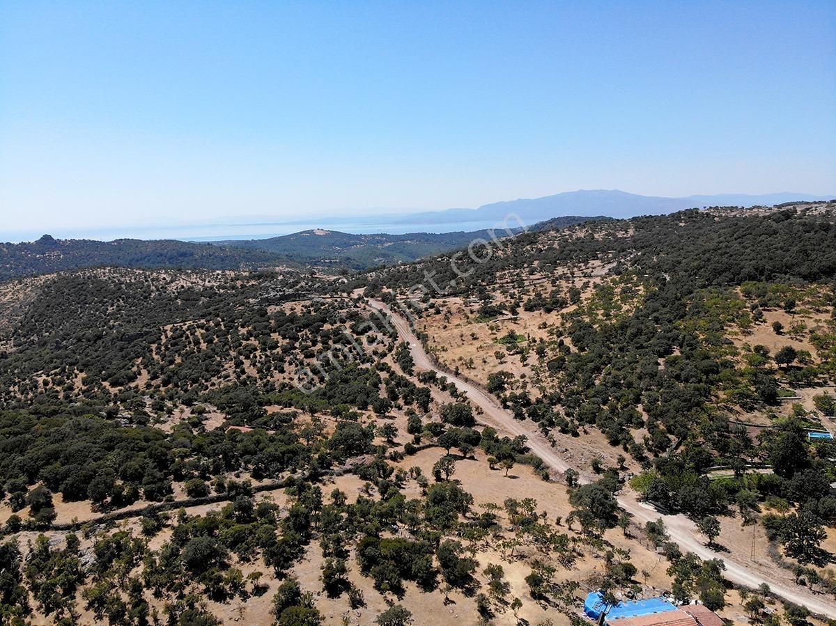 Çanakkale Ayvacık İlyasfakı'nda Satılık Müstakil Ev - Görsel 10