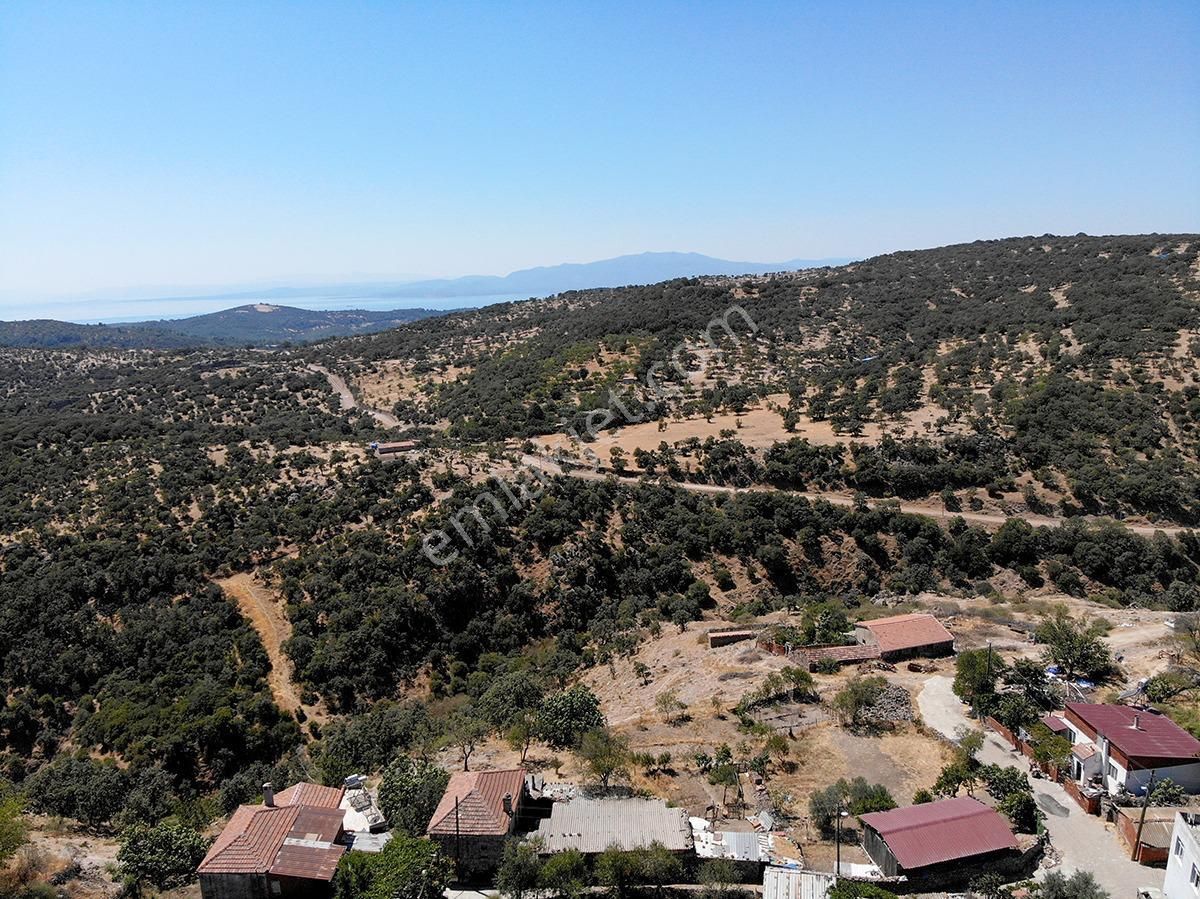 Çanakkale Ayvacık İlyasfakı'nda Satılık Müstakil Ev - Görsel 13