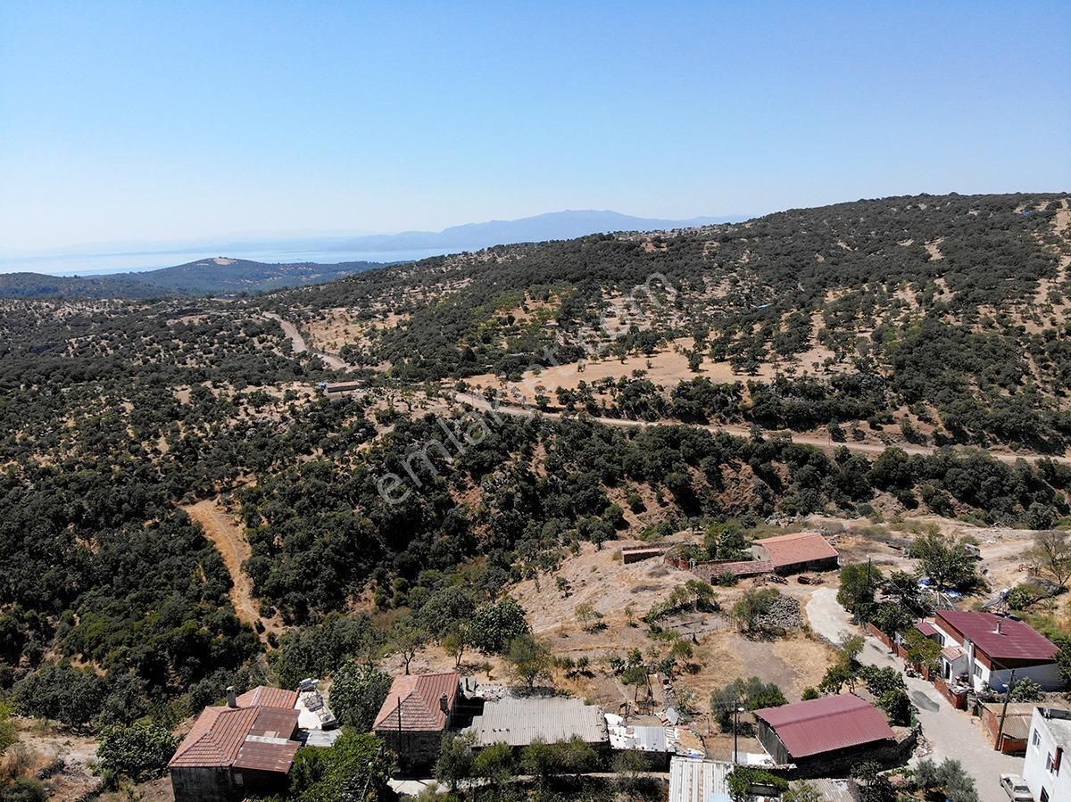 Çanakkale Ayvacık İlyasfakı'nda Satılık Müstakil Ev - Görsel 14