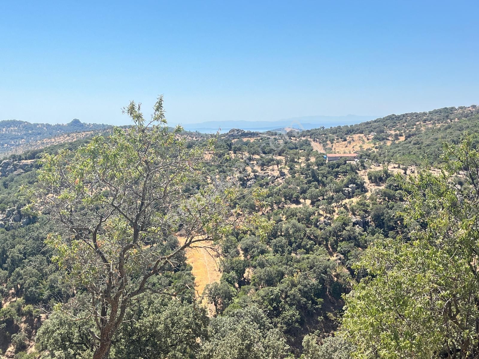 Çanakkale Ayvacık İlyasfakı'nda Satılık Müstakil Ev - Görsel 23