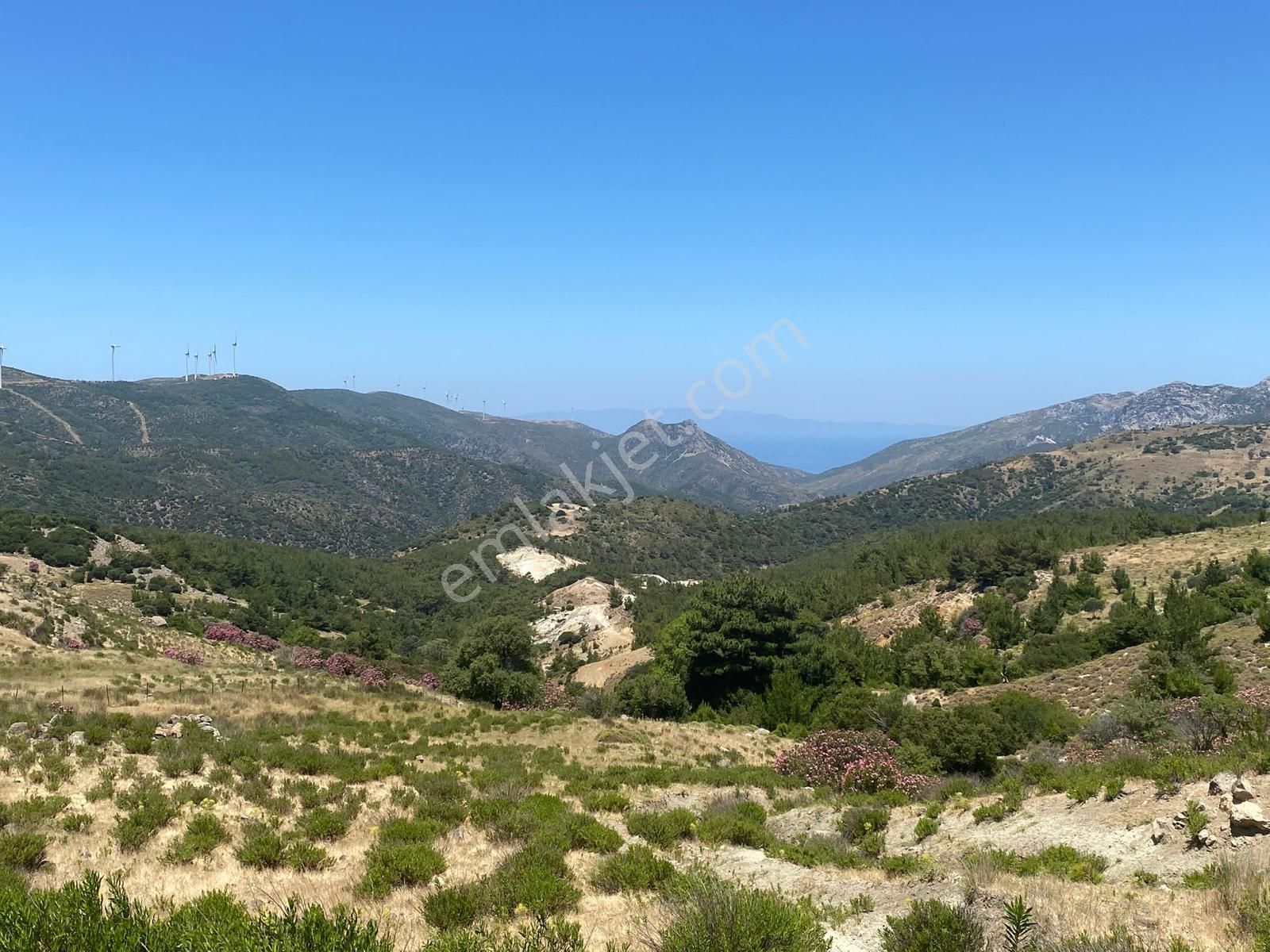 İzmir Karaburun Yaylaköyde Satılık Elektrik Ve Su Olan Fırsat Arazi - Görsel 13