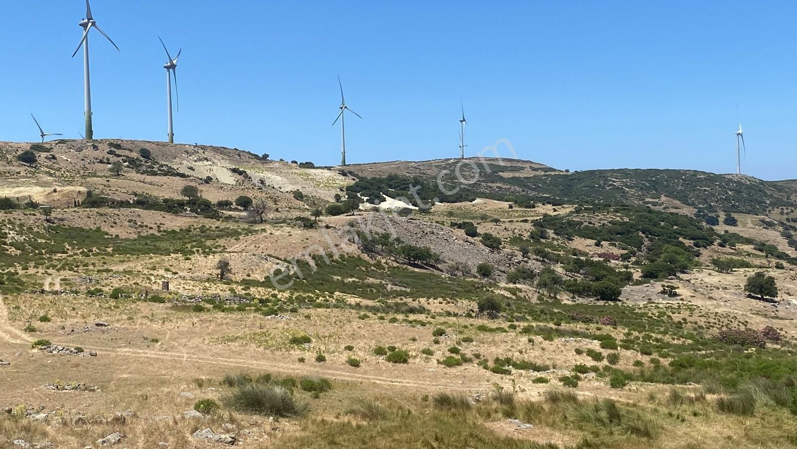 İzmir Karaburun Yaylaköyde Satılık Elektrik Ve Su Olan Fırsat Arazi - Görsel 7