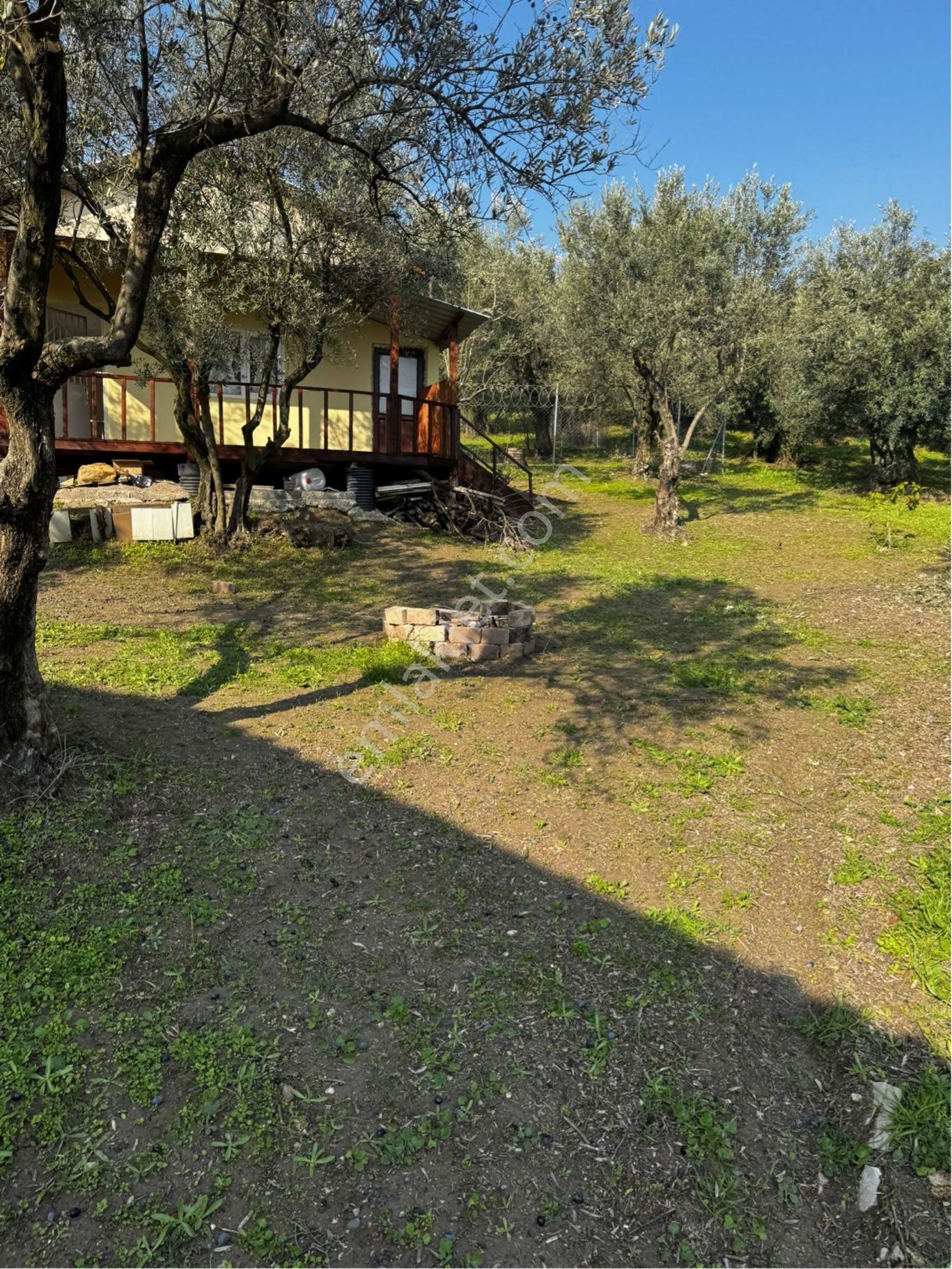 Mudanya Köye 150 Metre Mesafede Satılık Bahçe