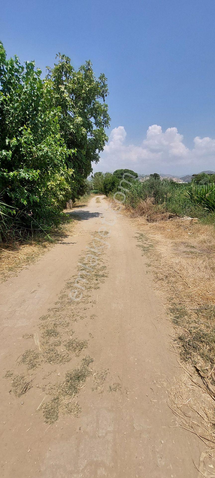 Satılık 1628 M2 Arsa Güzelköy İçinde Mükemmel Konumda - Görsel 28