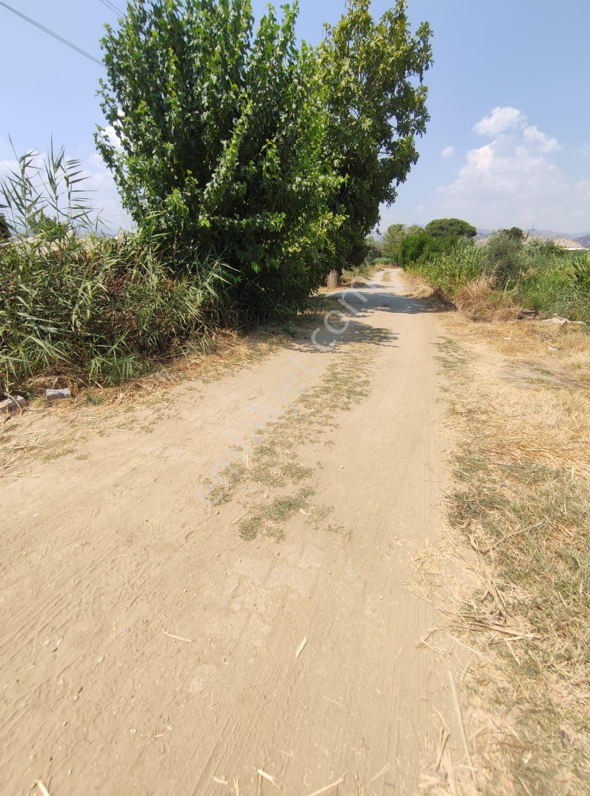 Satılık 1628 M2 Arsa Güzelköy İçinde Mükemmel Konumda - Görsel 3