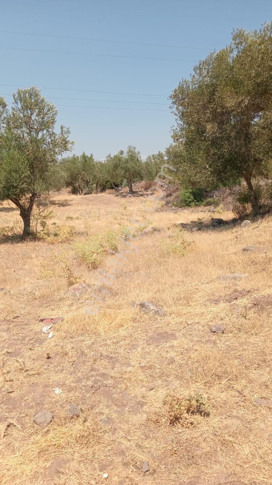 Çıtakta Satılık Hobi Bahçesi