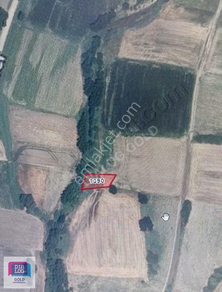 Kırklareli Merkez Satılık Tarla