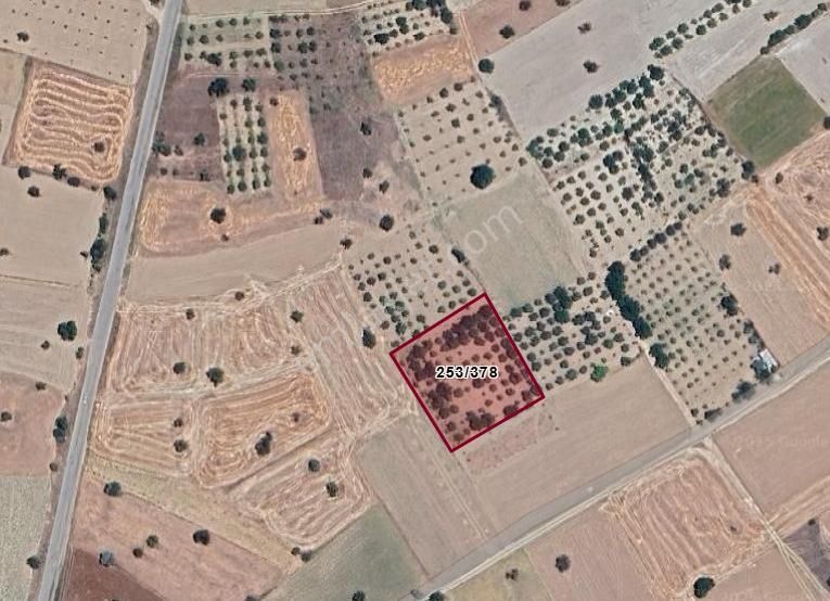 Beyşehir Yenidoğanda Yola Yakın Meyve Ağaçlı Sulak Verimli Arsa
