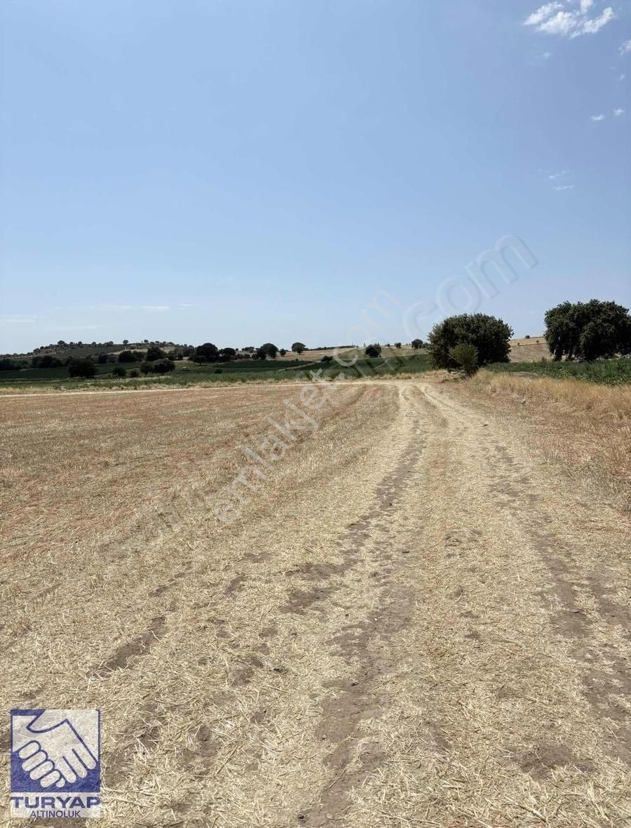 Ayvacık Kösedere Kösedere Köyünde Denize 1km Satılık Tarla - Görsel 2