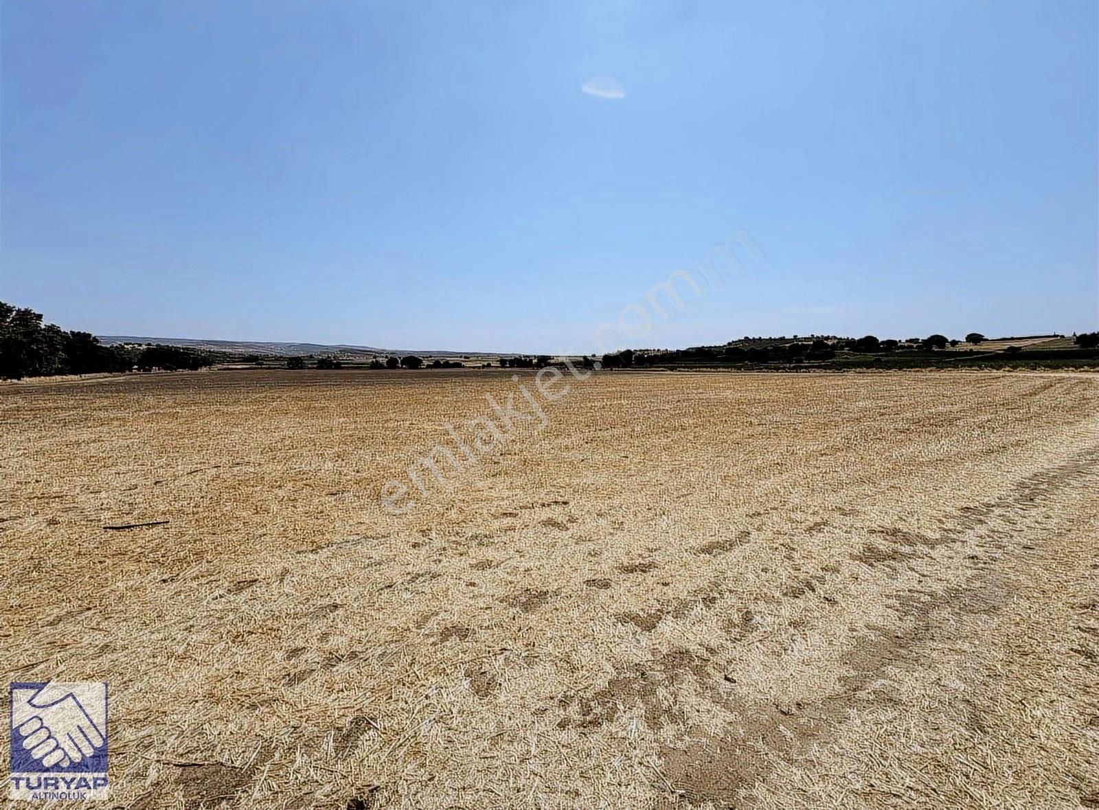 Ayvacık Kösedere Kösedere Köyünde Denize 1km Satılık Tarla