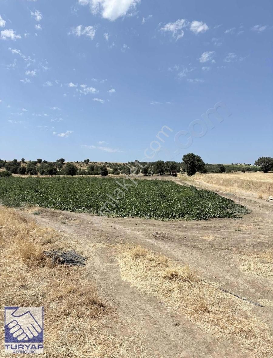 Ayvacık Kösedere Kösedere Köyünde Denize 1km Satılık Tarla - Görsel 3