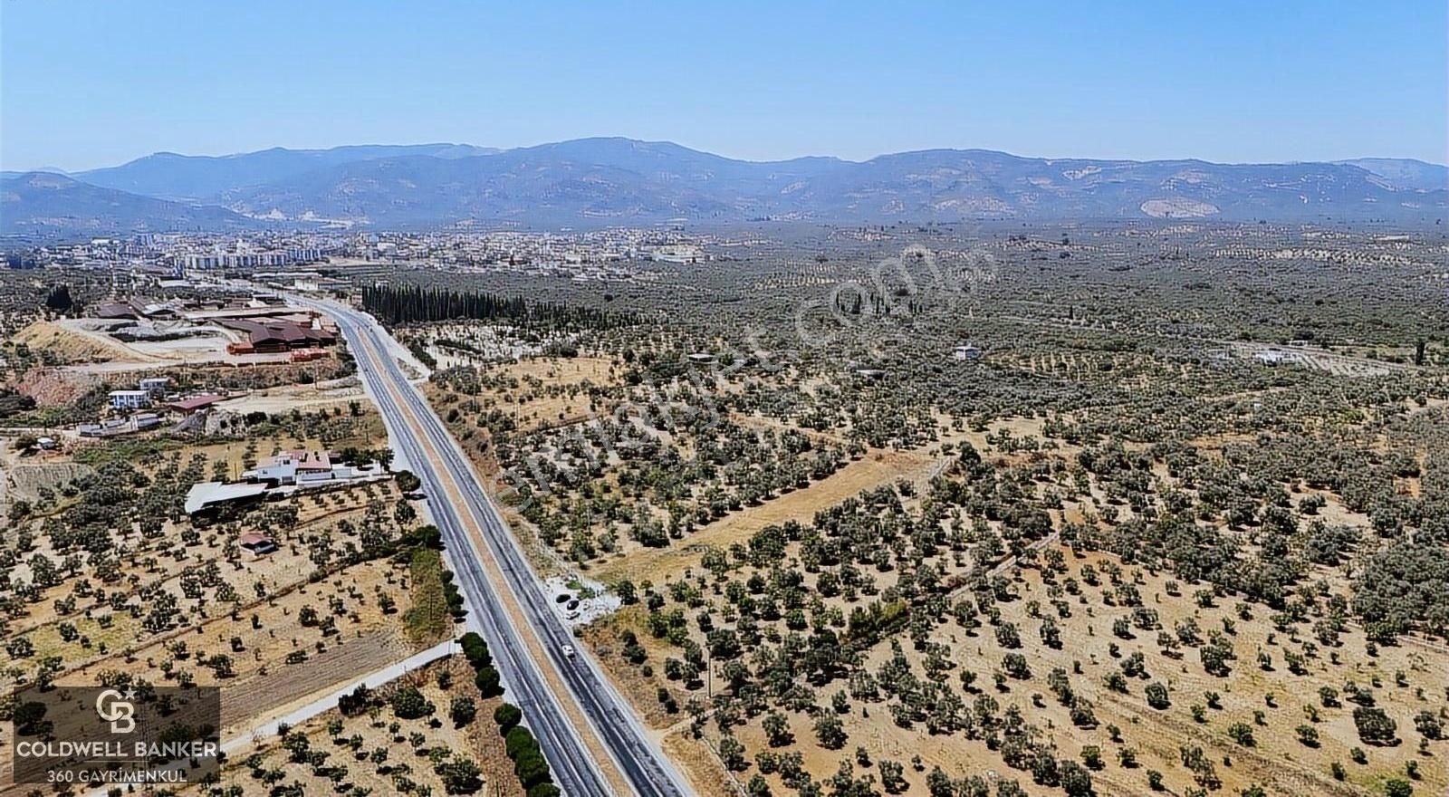 Germencik Dereköy Ana Cadde Üzerinde Satılık İncir Tarlası - Görsel 19