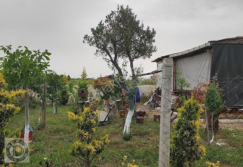 Silivri Çanta Balabanda Satılık 250 Metre Etrafı Telçevrili Arsa - Görsel 24