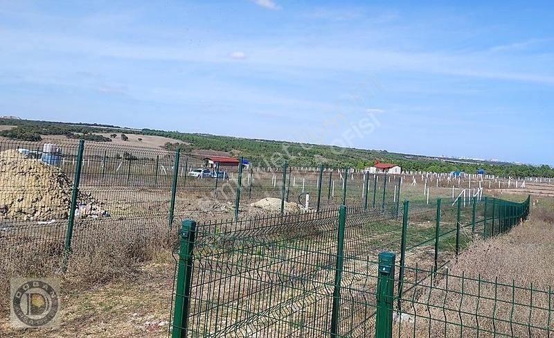 Silivri Çanta Balabanda Satılık 250 Metre Etrafı Telçevrili Arsa - Görsel 5