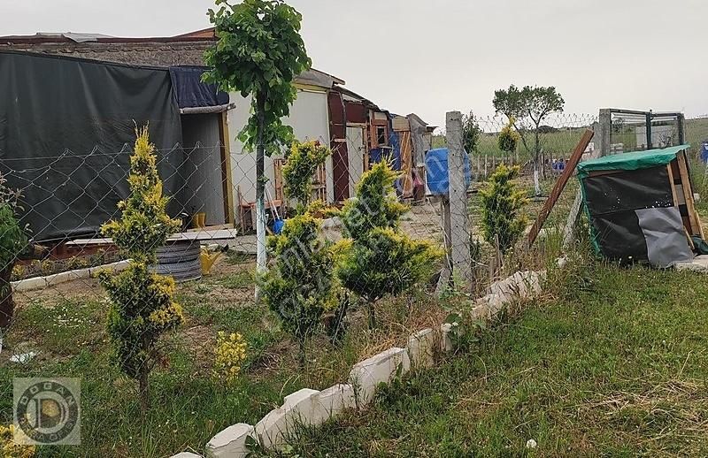 Silivri Çanta Balabanda Satılık 250 Metre Etrafı Telçevrili Arsa - Görsel 8