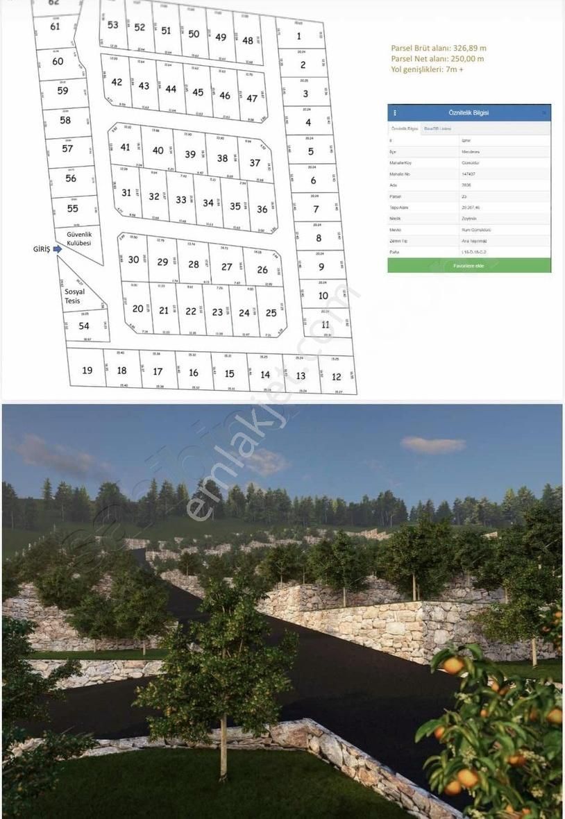 Villax'tan Gümüldür'de Satılık Kooparatif Hisseleri - Görsel 4