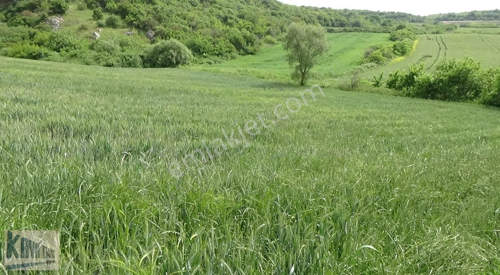 Kaya Emlaktan Fiyat Düştü