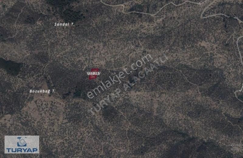 Turyap'tan Bayındır'da Yatırımcıya 2.841 M² Tek Tapu Zeytinlik - Görsel 2