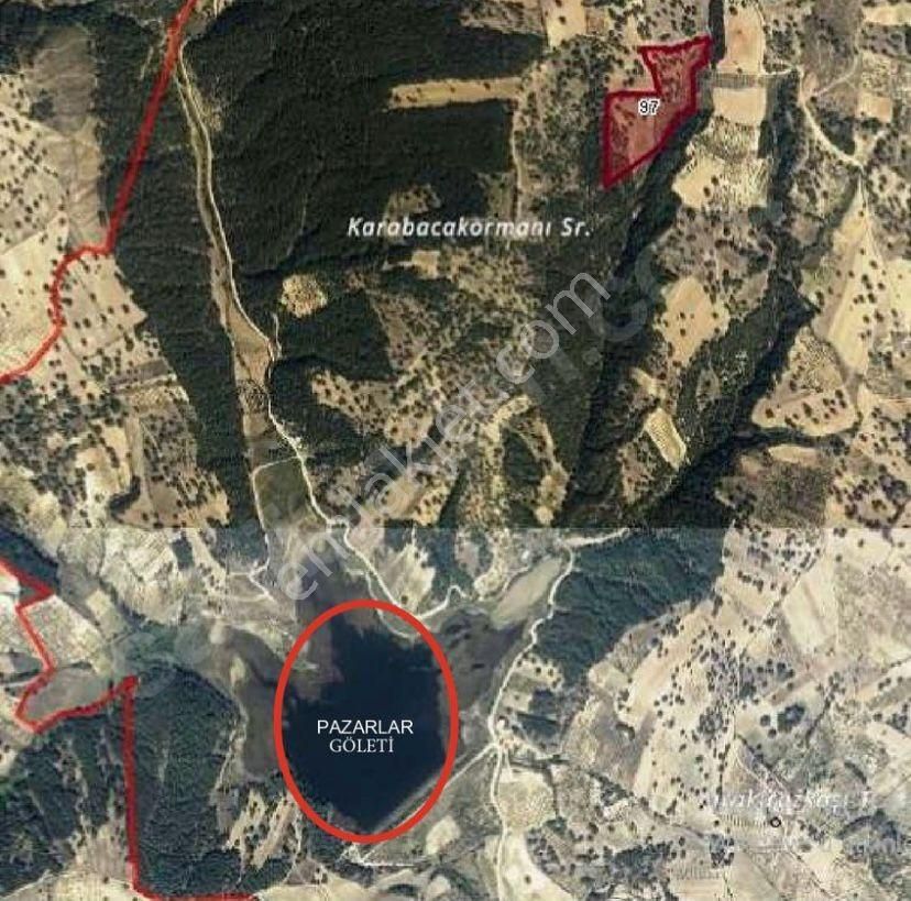 Kütahya Pazarlarda Satılık Tarla