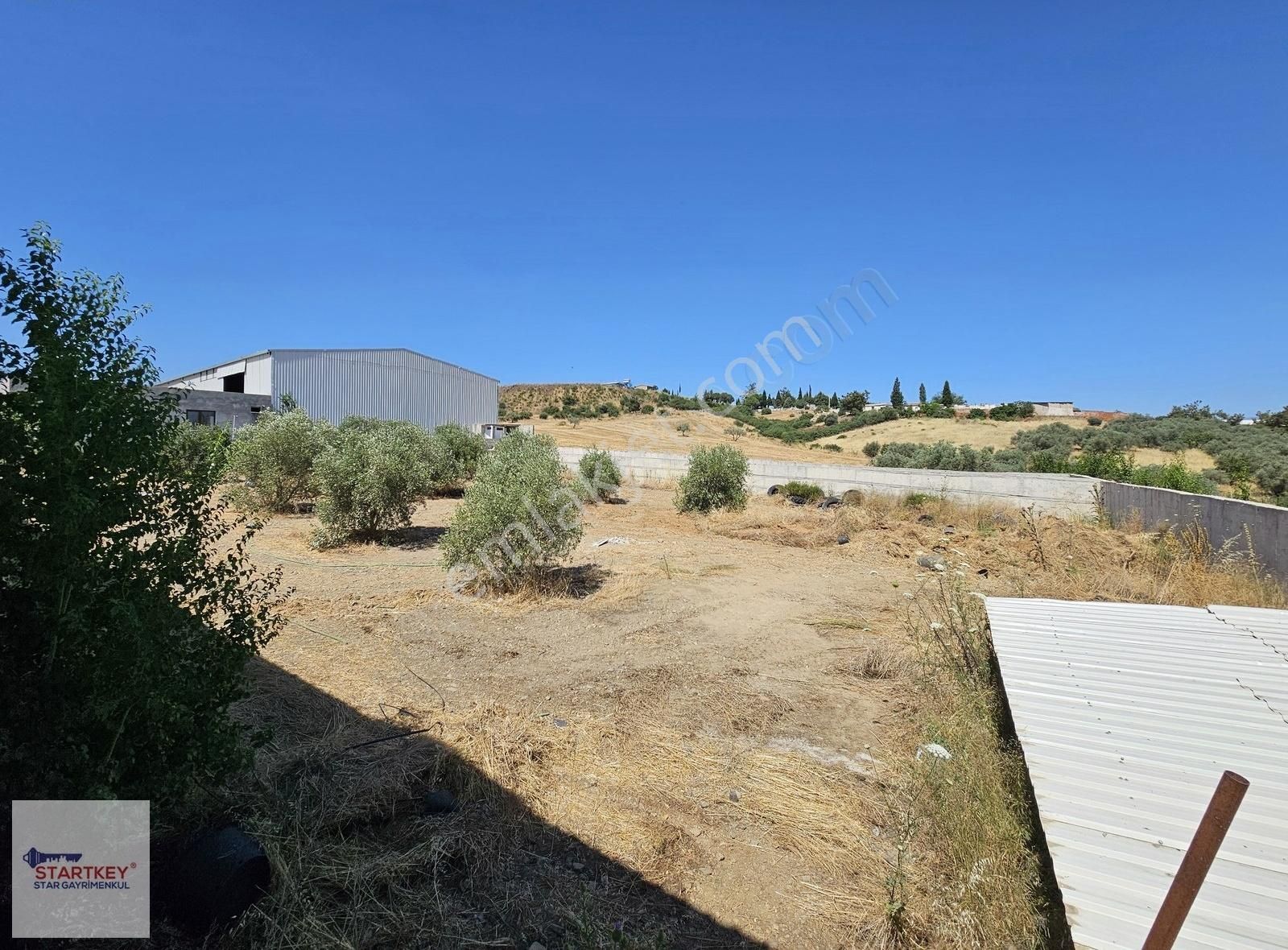 Kemalpaşa Sarıçalıda İçinde Depo Ve Evi Olan Besi Çiftliği - Görsel 5