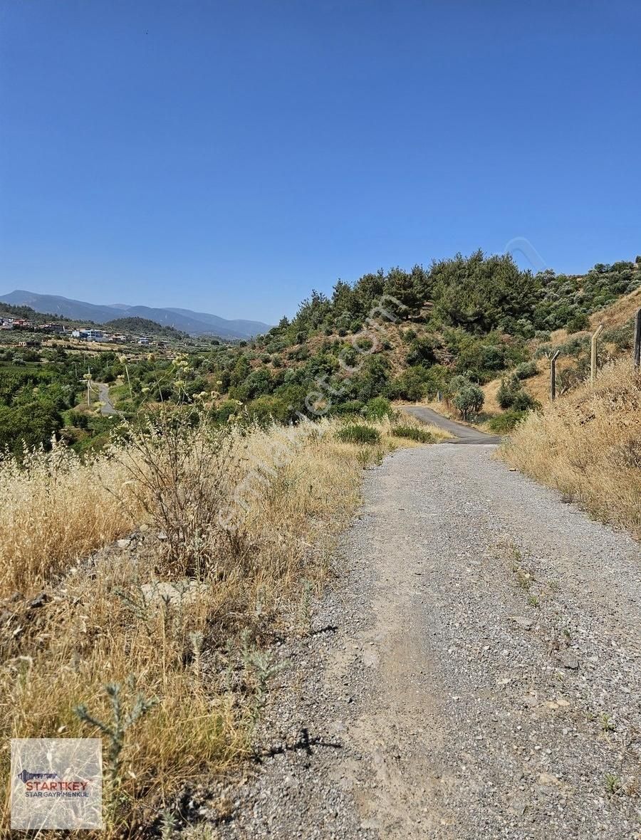 Kemalpaşa Sarıçalıda İçinde Depo Ve Evi Olan Besi Çiftliği - Görsel 8