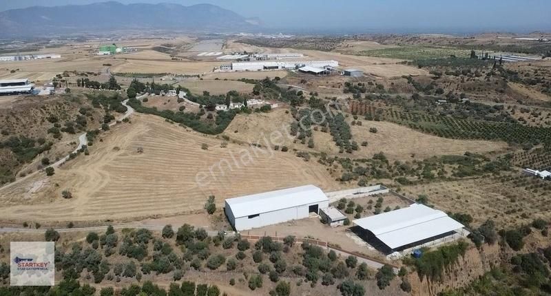 Kemalpaşa Sarıçalıda İçinde Depo Ve Evi Olan Besi Çiftliği - Görsel 12