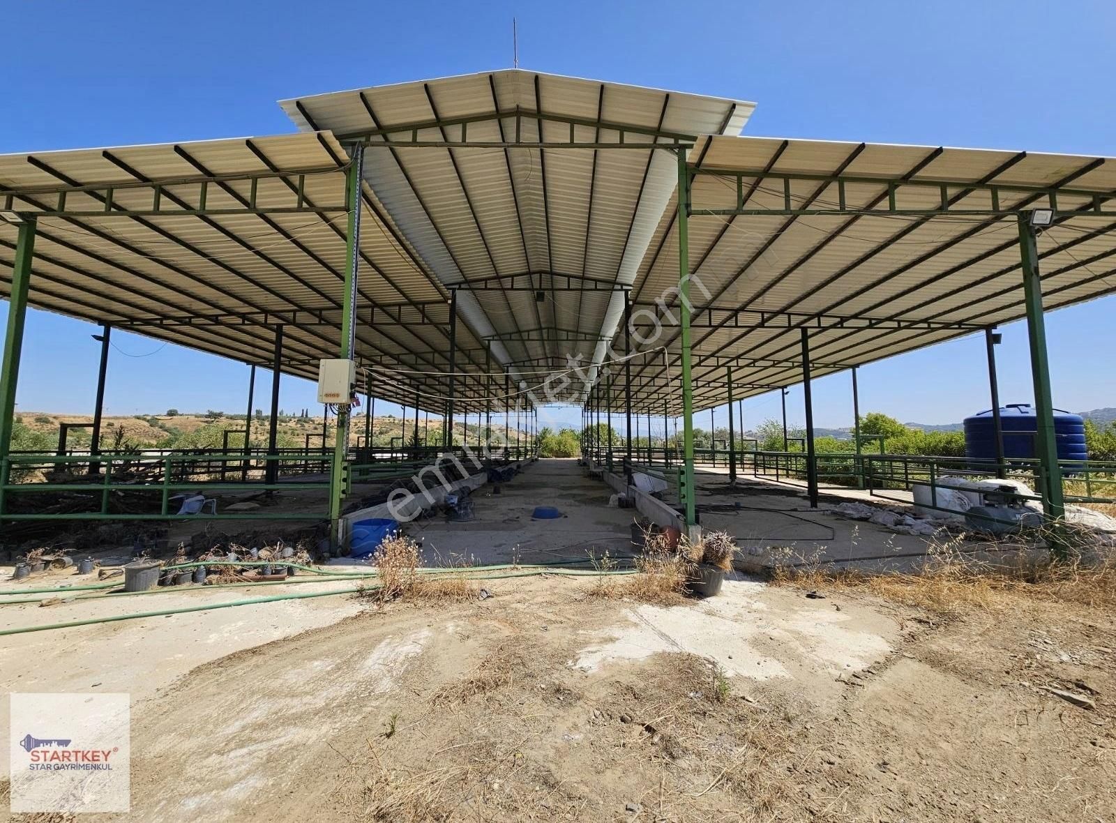 Kemalpaşa Sarıçalıda İçinde Depo Ve Evi Olan Besi Çiftliği - Görsel 19