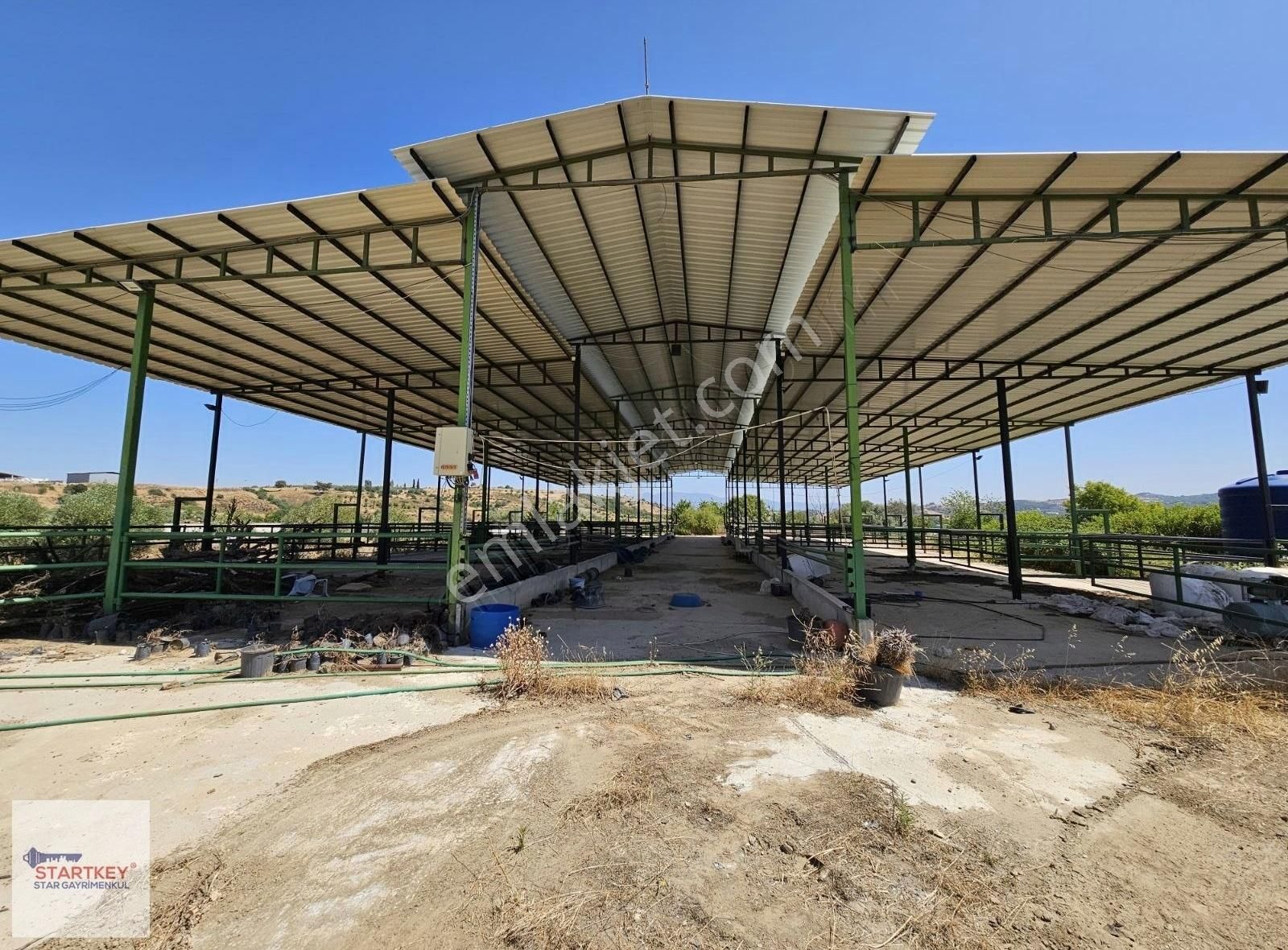 Kemalpaşa Sarıçalıda İçinde Depo Ve Evi Olan Besi Çiftliği - Görsel 15