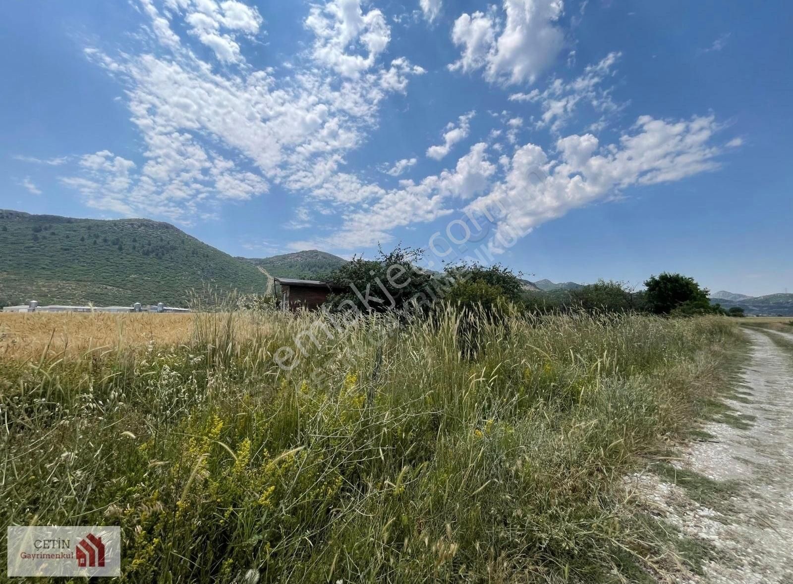 Burdur Bucak Gündoğdu Ayva Bahçesi - Görsel 7