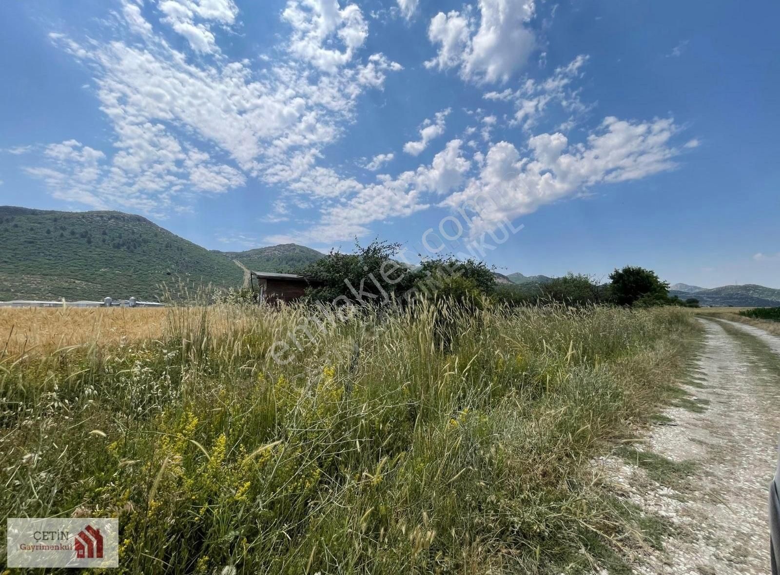 Burdur Bucak Gündoğdu Ayva Bahçesi - Görsel 6