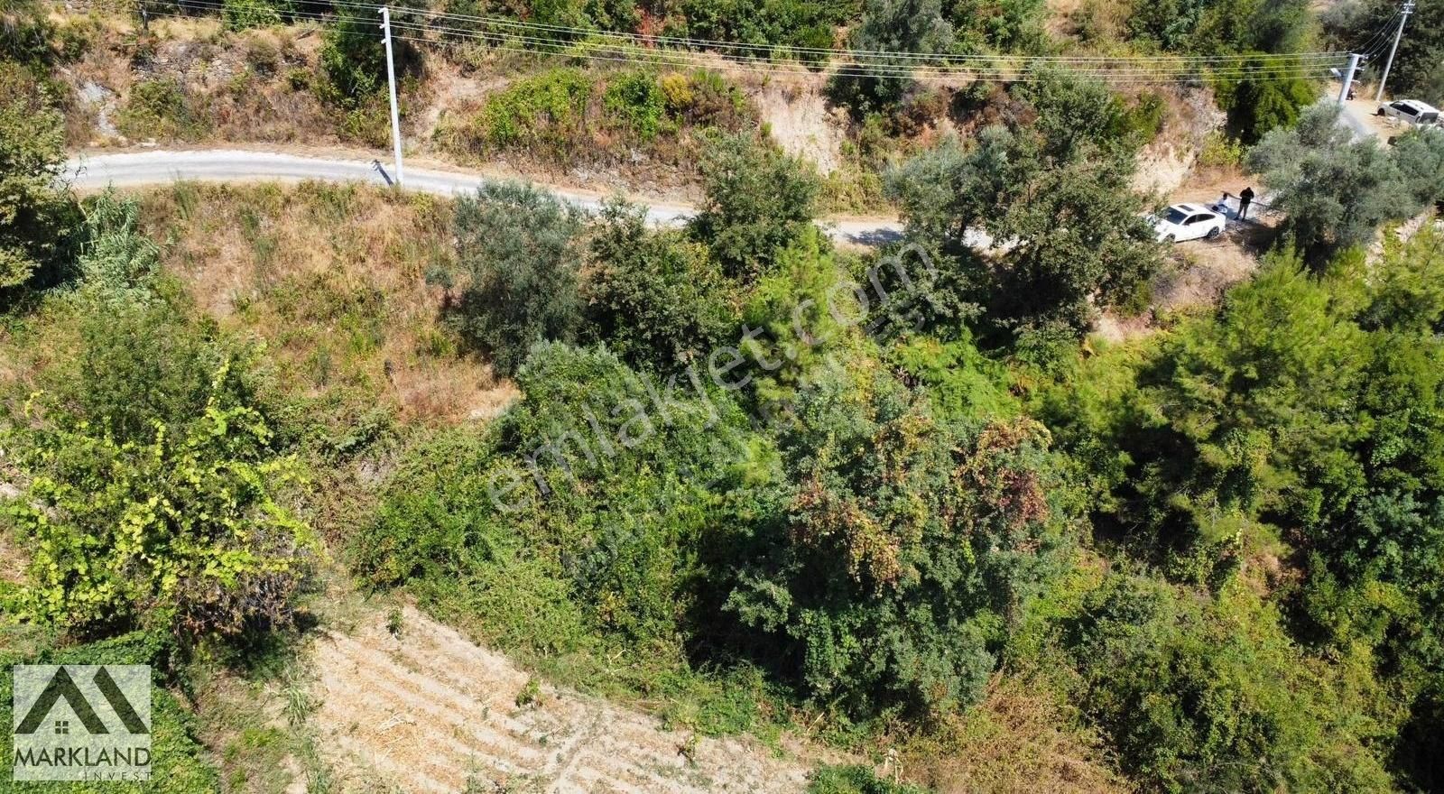 Alanya Kayabaşı Mahallesi Satılık Yatırımlık Tarla - Görsel 6