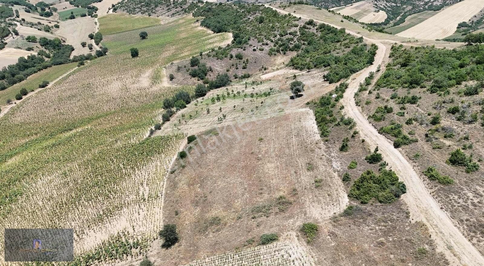 Royal Office Den Her Bütçeye Uygun Tapulu Hobi Bahçeleri - Görsel 5