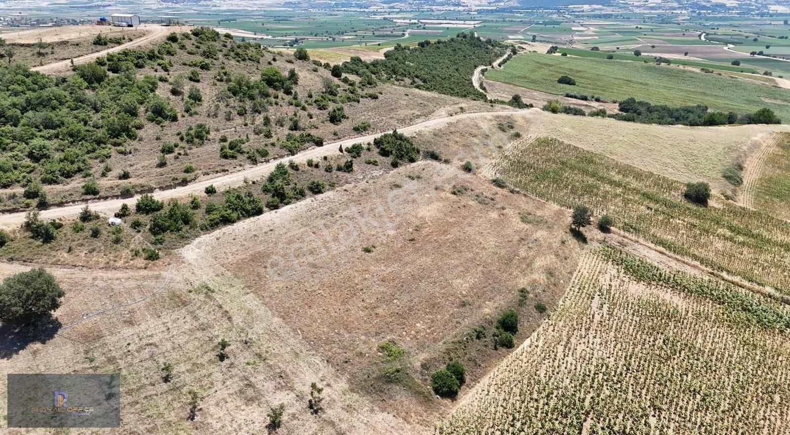 Royal Office Den Her Bütçeye Uygun Tapulu Hobi Bahçeleri - Görsel 4