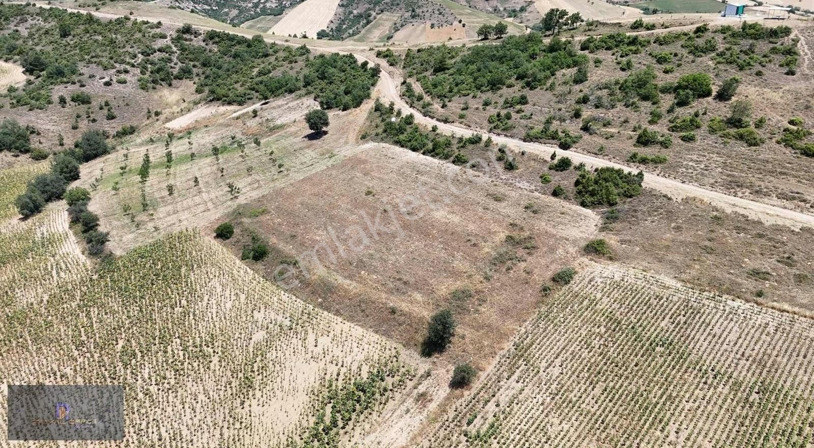 Royal Office Den Her Bütçeye Uygun Tapulu Hobi Bahçeleri - Görsel 13