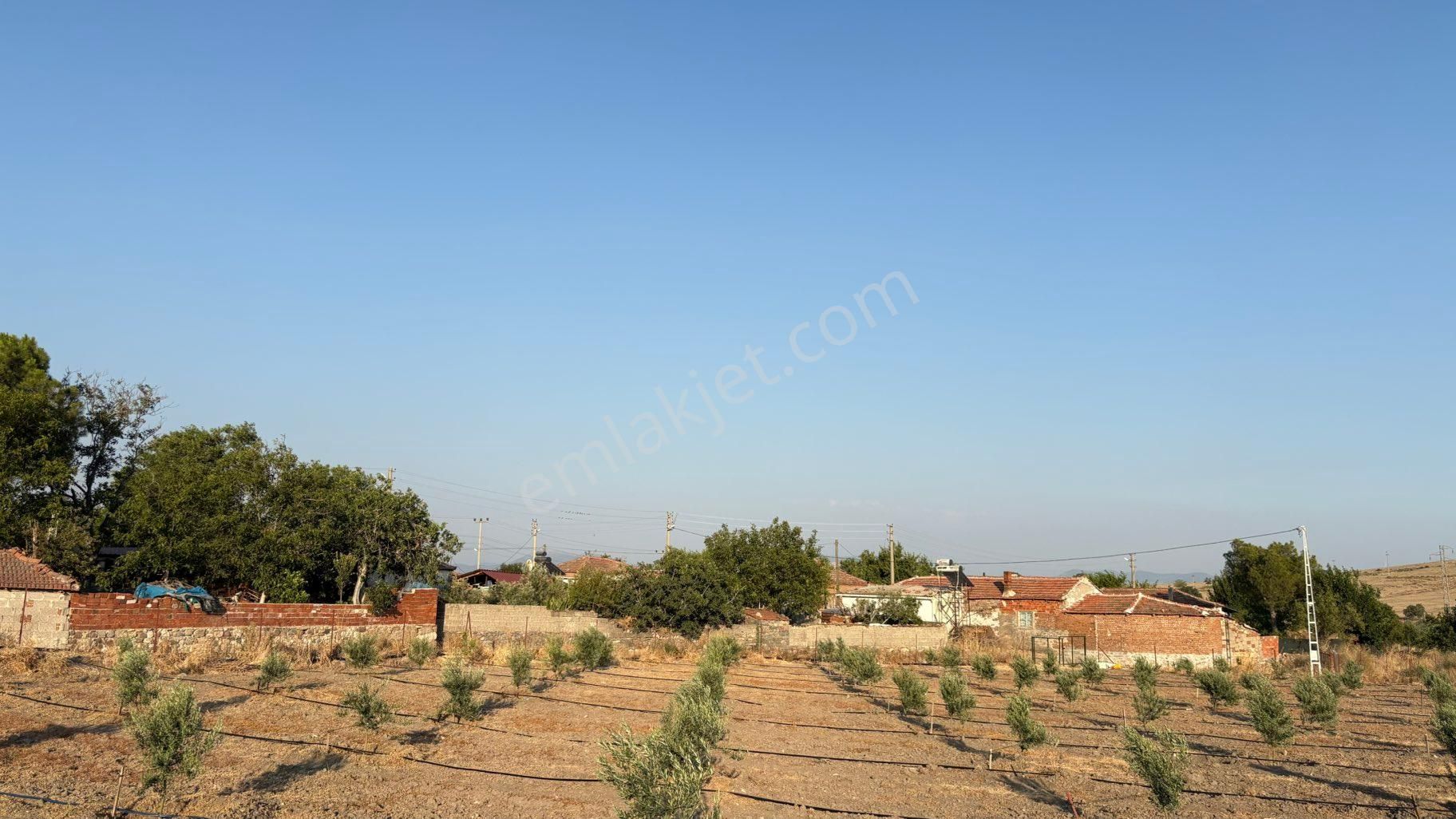 Bergama / Ahmetbeyler Mahallesi Satılık Zeytinlik - 7.720 M² - Görsel 6