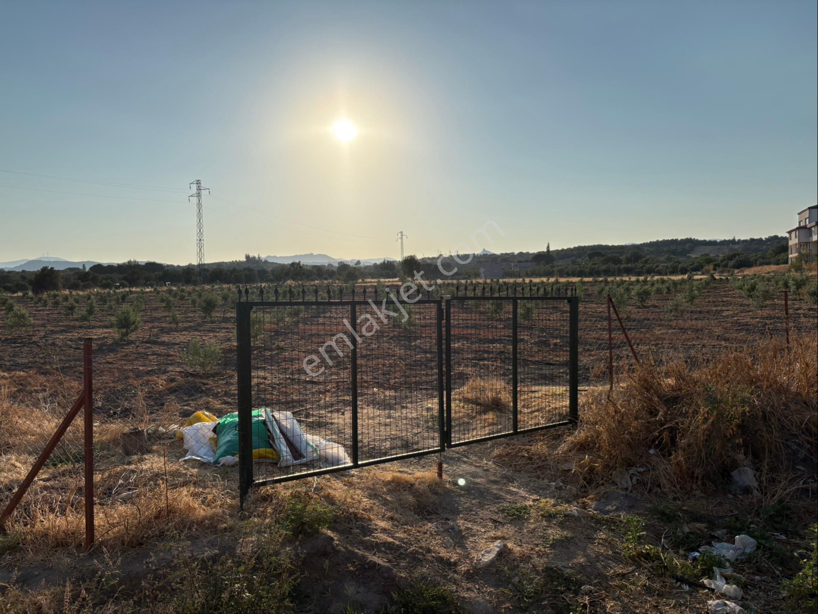 Bergama / Ahmetbeyler Mahallesi Satılık Zeytinlik - 7.720 M² - Görsel 12