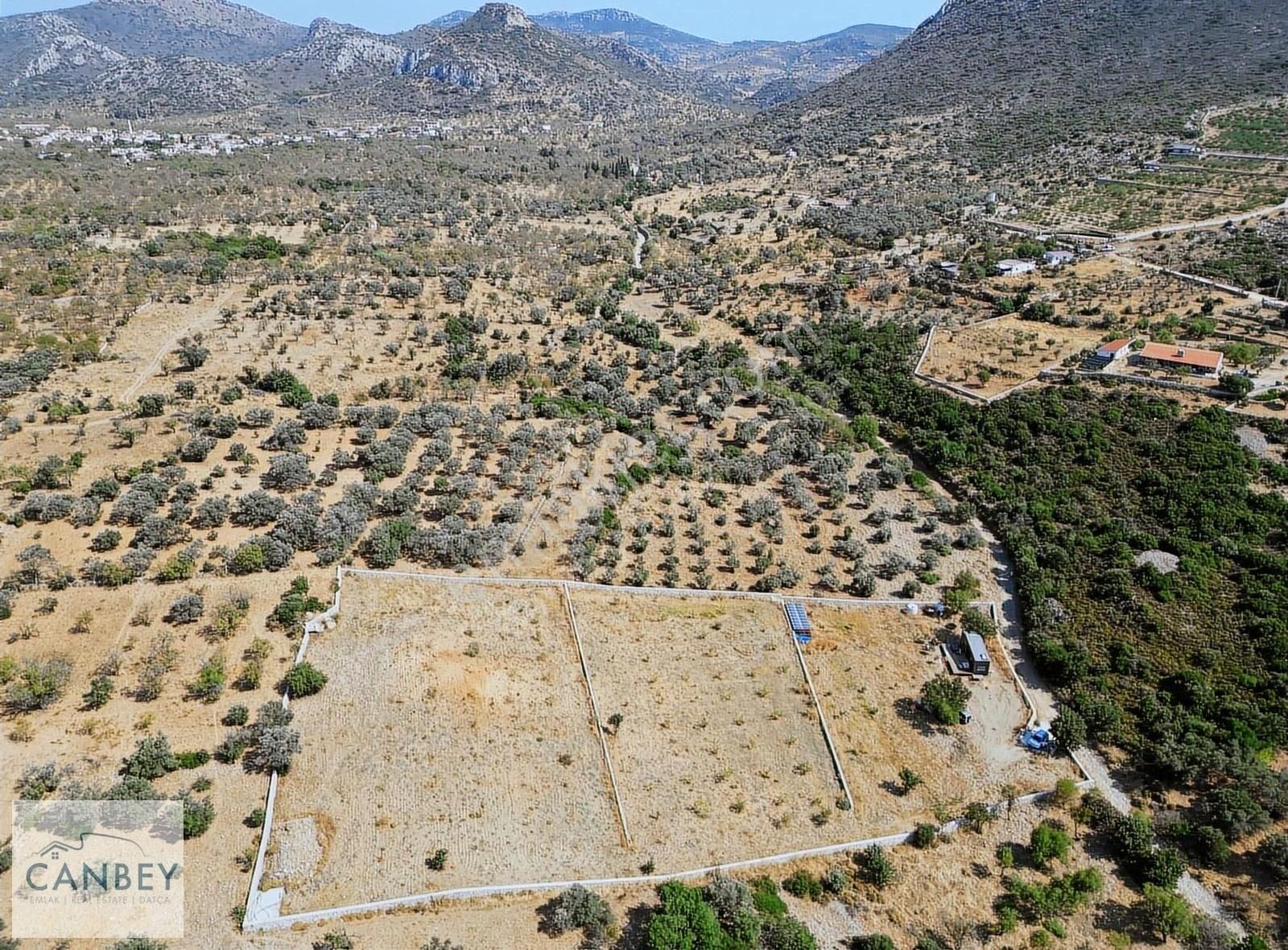 Datça Yazı'da 6.720 M2 Bademlik Ve Narenciye Bahçesi