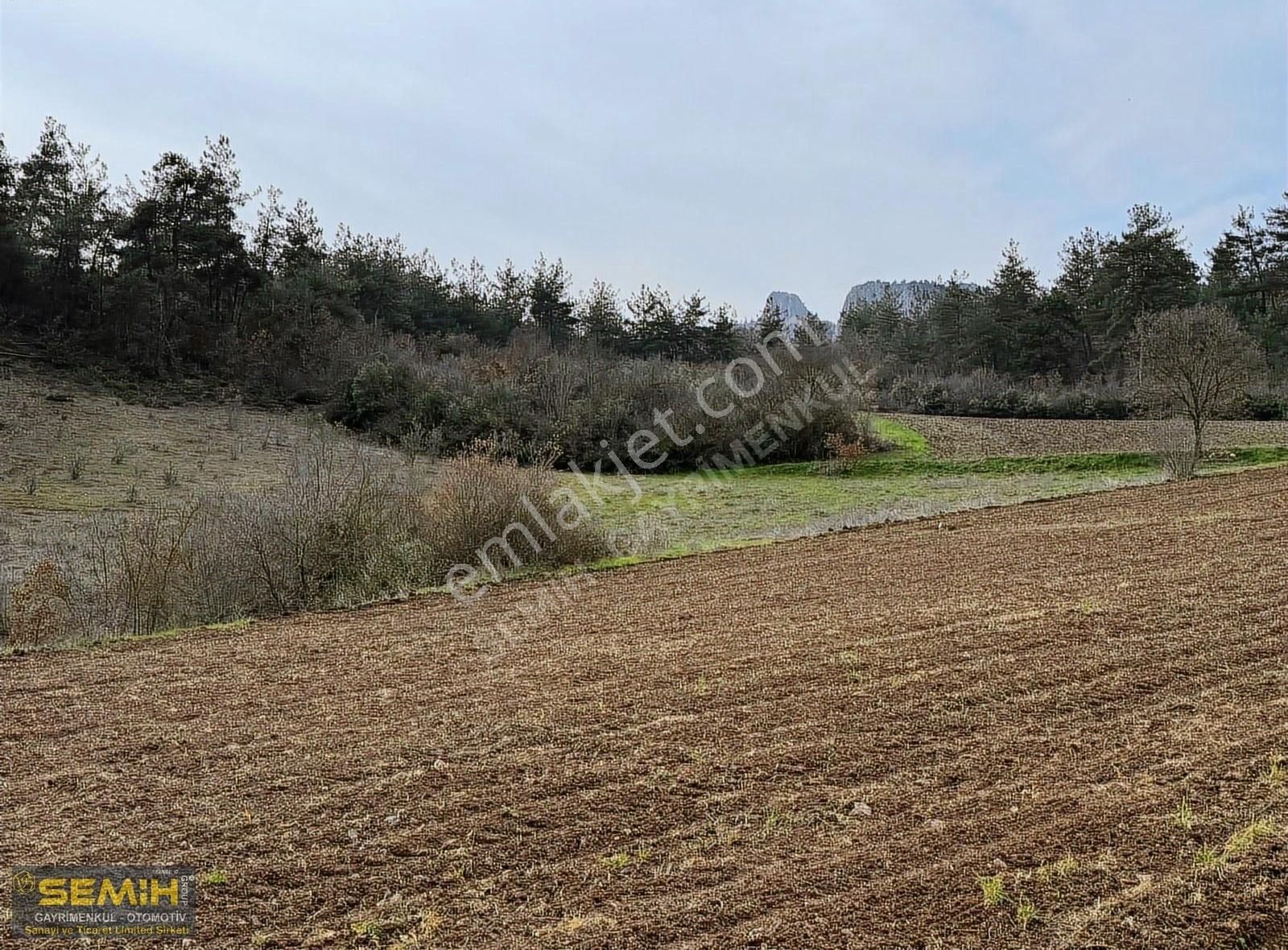 Semih'den Hayriyede 3 Tarafı Resmi Yol Dereye Yakın 709 M2 Arazi - Görsel 6