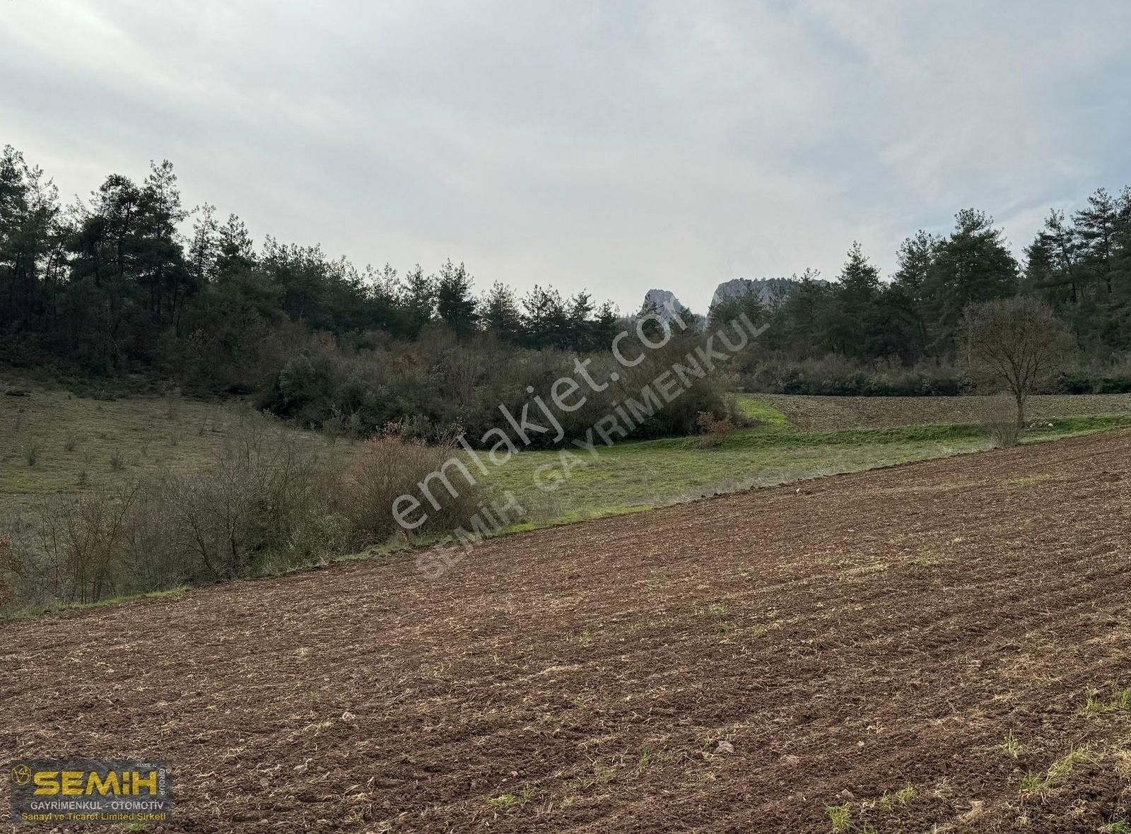 Semih'den Hayriyede 3 Tarafı Resmi Yol Dereye Yakın 709 M2 Arazi - Görsel 2