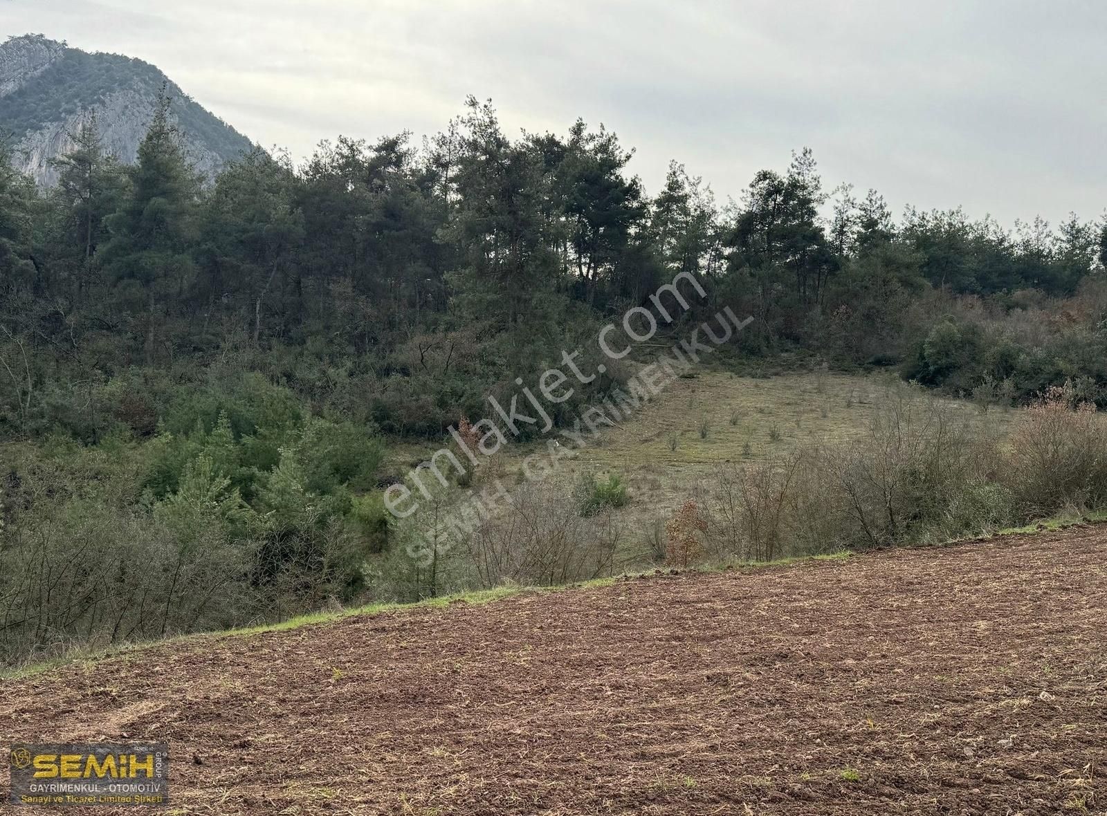 Semih'den Hayriyede 3 Tarafı Resmi Yol Dereye Yakın 709 M2 Arazi - Görsel 5