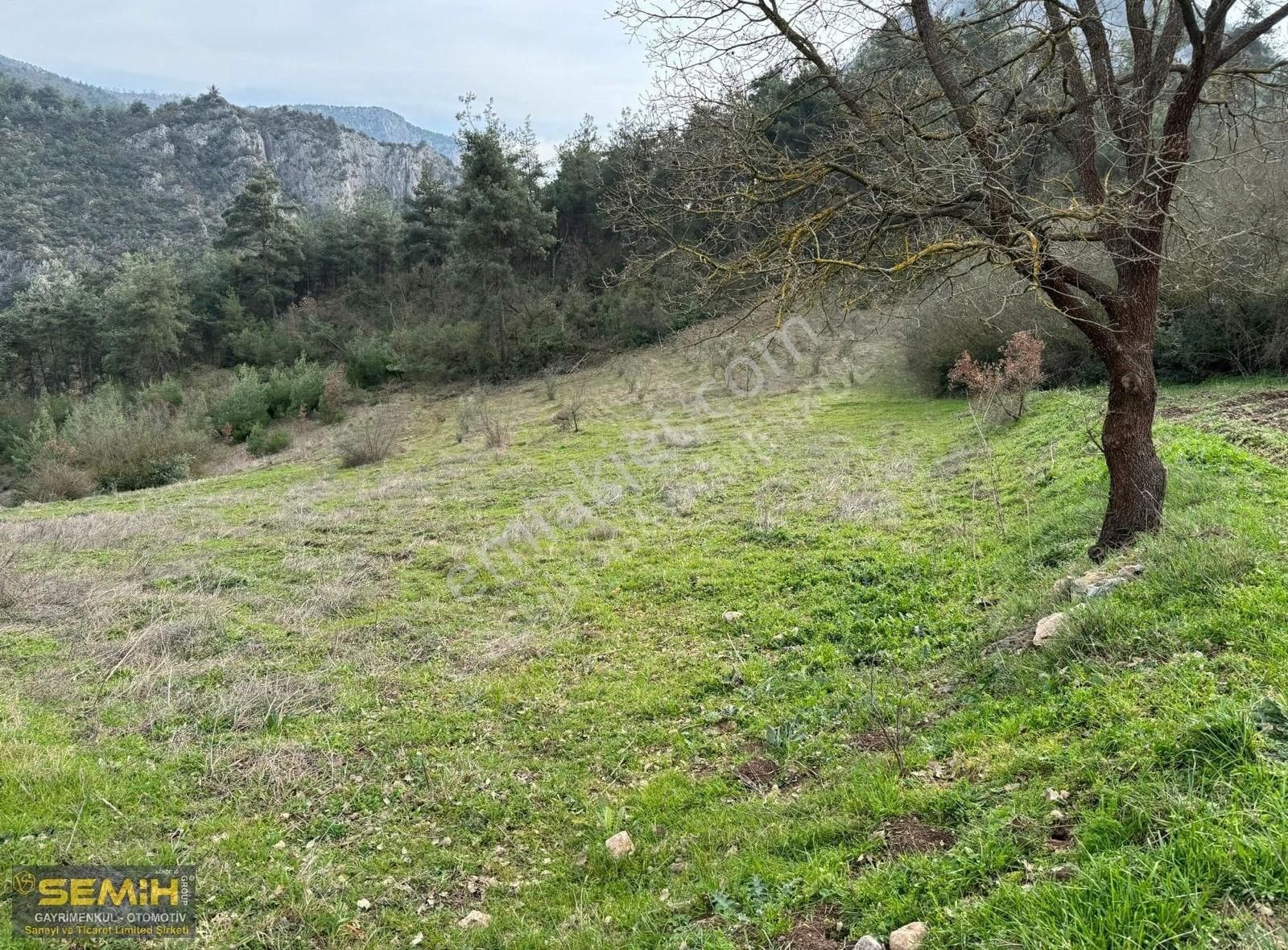 Semih'den Hayriyede 3 Tarafı Resmi Yol Dereye Yakın 709 M2 Arazi - Görsel 9