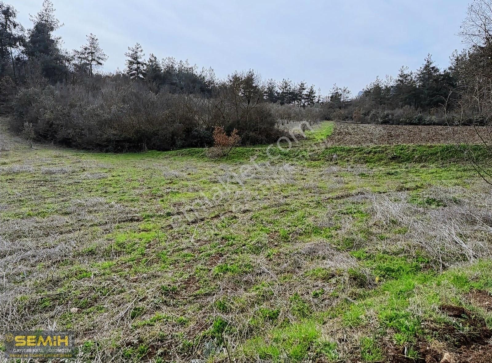 Semih'den Hayriyede 3 Tarafı Resmi Yol Dereye Yakın 709 M2 Arazi - Görsel 4