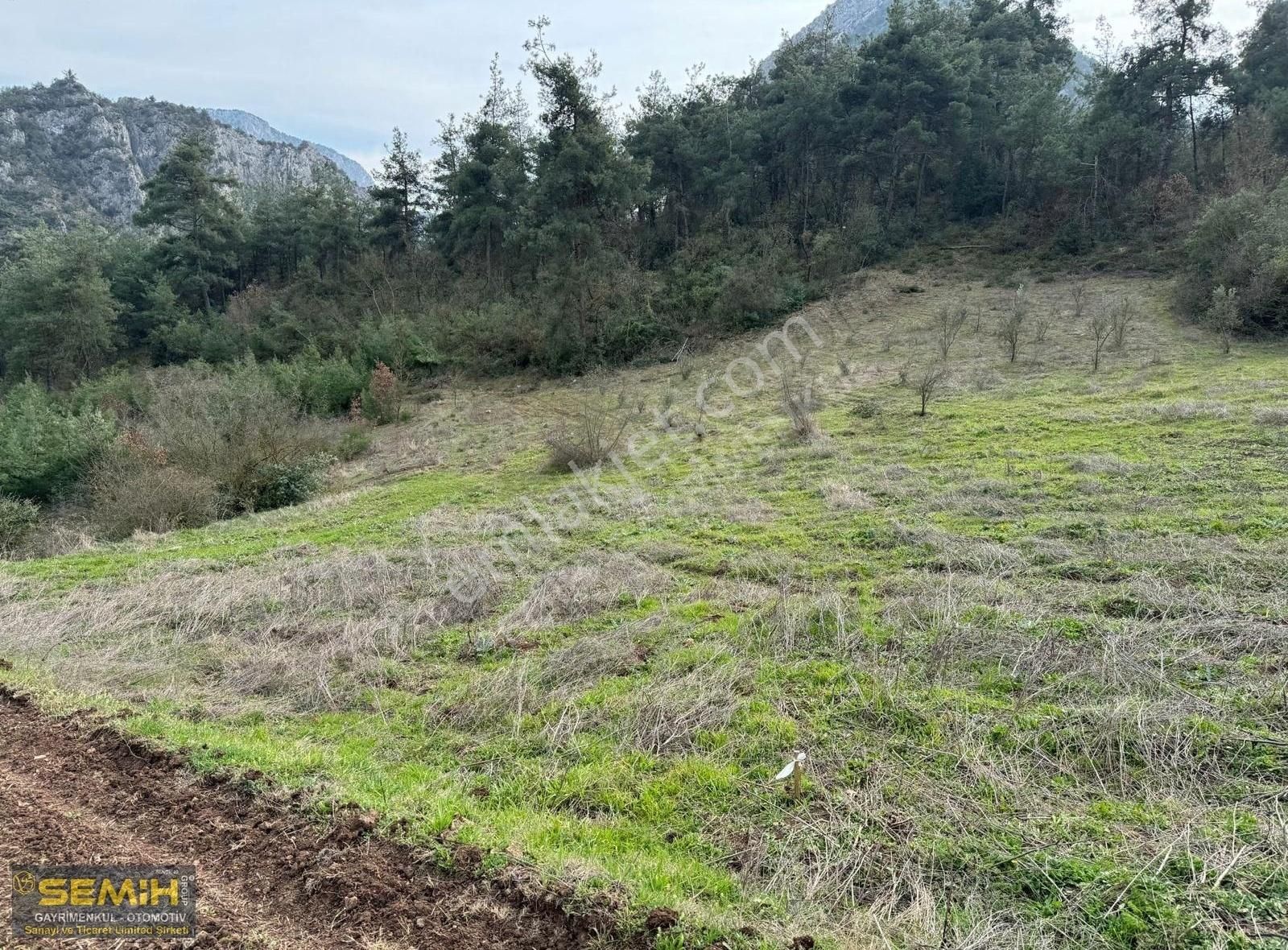 Semih'den Hayriyede 3 Tarafı Resmi Yol Dereye Yakın 709 M2 Arazi - Görsel 7