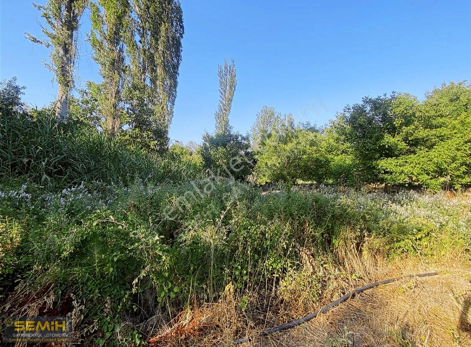 Semih'den Eğercede Köye 500 Metre Mesafede Tava Gibi Hobi Bah - Görsel 8