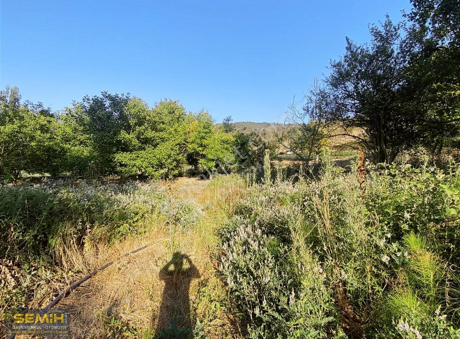 Semih'den Eğercede Köye 500 Metre Mesafede Tava Gibi Hobi Bah - Görsel 10