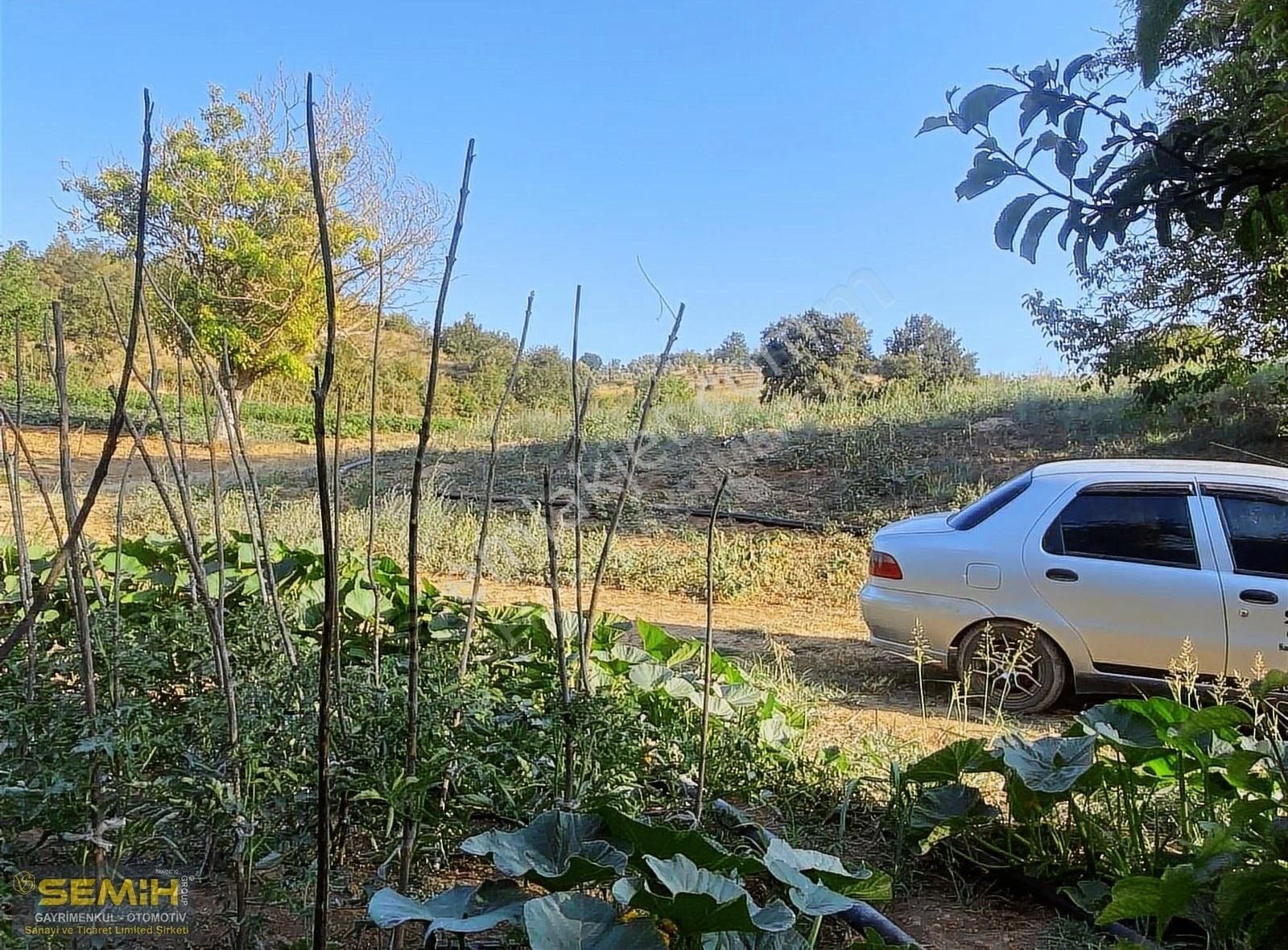 Semih'den Eğercede Köye 500 Metre Mesafede Tava Gibi Hobi Bah - Görsel 5