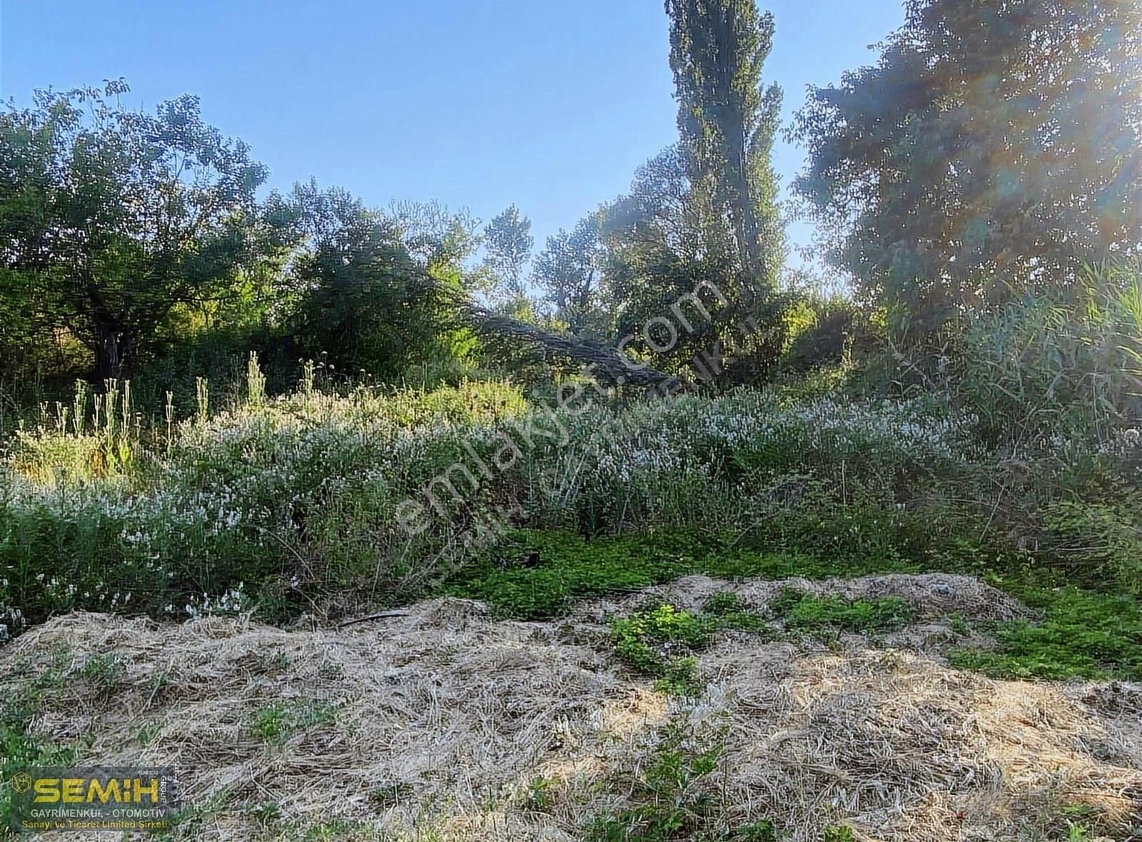 Semih'den Eğercede Köye 500 Metre Mesafede Tava Gibi Hobi Bah - Görsel 12